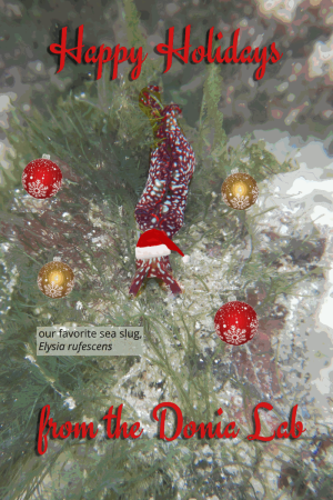 Happy Holidays from the Donia Lab!
